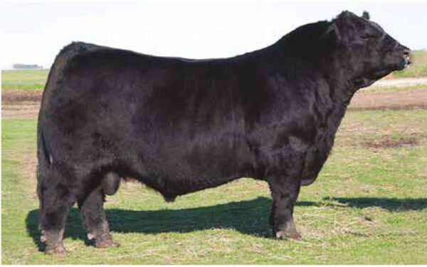 20 - 15 DOSIS DE JUANCITO