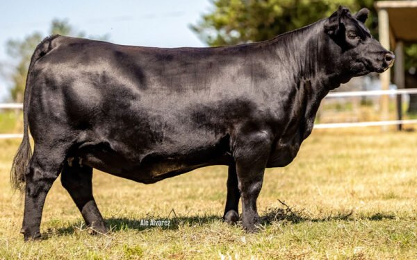 10 - REFUGIO 249 LA JOYA 44 TE