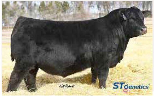 27 - 15 DOSIS DE PROLIFIC